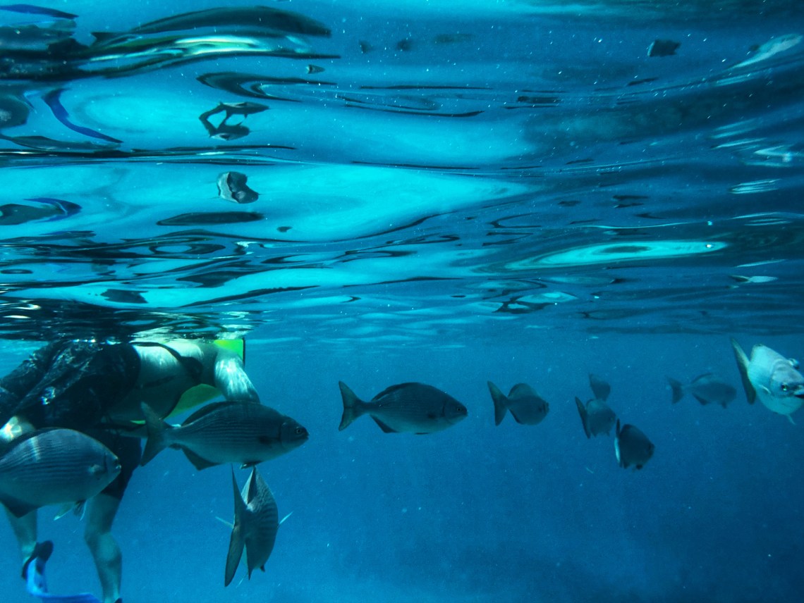 F63AFC18-7D7B-4184-BB51-2EAA4EA836C6